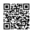 QR Code (код быстрого отклика)