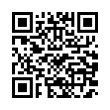 QR Code (код быстрого отклика)