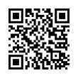 QR Code (код быстрого отклика)