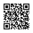 QR Code (код быстрого отклика)