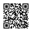 QR Code (код быстрого отклика)