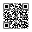 QR Code (код быстрого отклика)