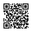 QR Code (код быстрого отклика)