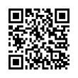 QR Code (код быстрого отклика)