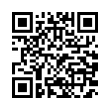 QR Code (код быстрого отклика)