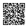 QR Code (код быстрого отклика)