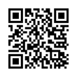 QR Code (код быстрого отклика)