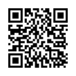 QR Code (код быстрого отклика)