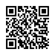 QR Code (код быстрого отклика)