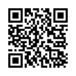 QR Code (код быстрого отклика)