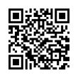 QR Code (код быстрого отклика)