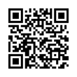 QR Code (код быстрого отклика)