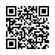 QR Code (код быстрого отклика)