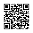 QR Code (код быстрого отклика)