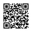 QR Code (код быстрого отклика)