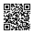 QR Code (код быстрого отклика)