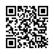 QR Code (код быстрого отклика)