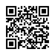 QR Code (код быстрого отклика)