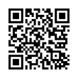 QR Code (код быстрого отклика)