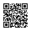 QR Code (код быстрого отклика)