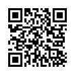 QR Code (код быстрого отклика)