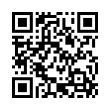 QR Code (код быстрого отклика)