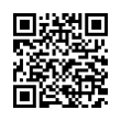 QR Code (код быстрого отклика)