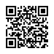 QR Code (код быстрого отклика)