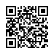 QR Code (код быстрого отклика)