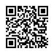 QR Code (код быстрого отклика)