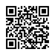 QR Code (код быстрого отклика)