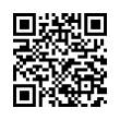 QR Code (код быстрого отклика)