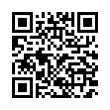 QR Code (код быстрого отклика)