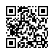 QR Code (код быстрого отклика)