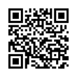 QR Code (код быстрого отклика)