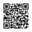 QR Code (код быстрого отклика)