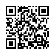 QR Code (код быстрого отклика)