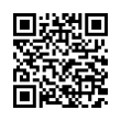 QR Code (код быстрого отклика)