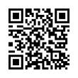 QR Code (код быстрого отклика)