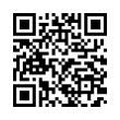 QR Code (код быстрого отклика)