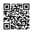 QR Code (код быстрого отклика)