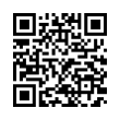 QR Code (код быстрого отклика)