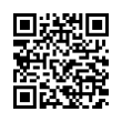 QR Code (код быстрого отклика)