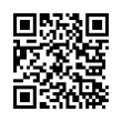 QR Code (код быстрого отклика)