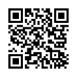 QR Code (код быстрого отклика)