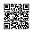 QR Code (код быстрого отклика)