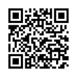 QR Code (код быстрого отклика)