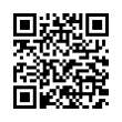 QR Code (код быстрого отклика)