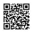 QR Code (код быстрого отклика)