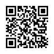 QR Code (код быстрого отклика)